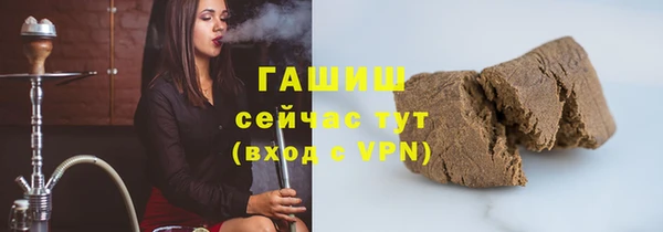 спиды Вяземский