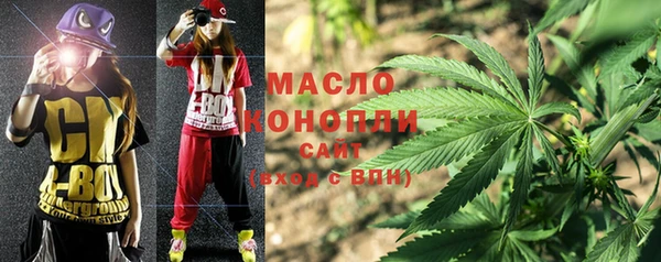 спиды Вяземский