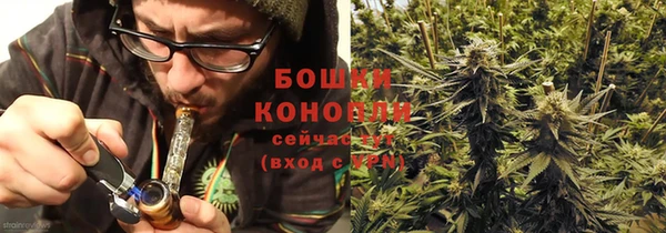 спиды Вяземский