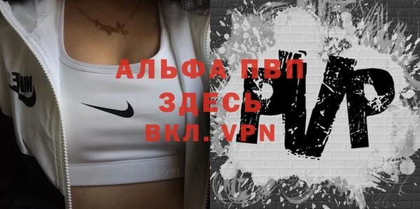 спиды Вяземский