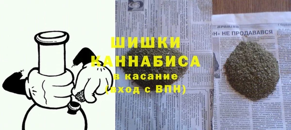 спиды Вяземский
