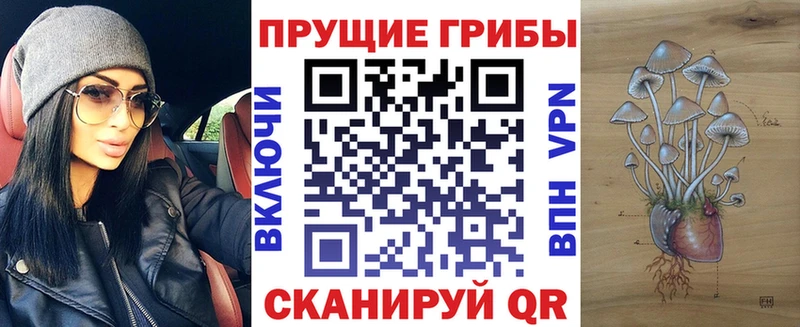 Купить закладки  Кондопога  Псилоцибиновые грибы прущие грибы 